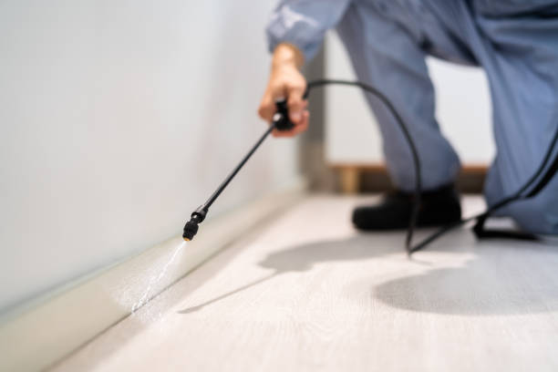 Licensed Mosquito Control service in West Pasco, WA - Show Me Pest Control