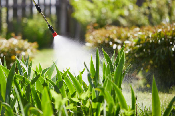 24/7 Emergency Mosquito Control experts in West Pasco, WA