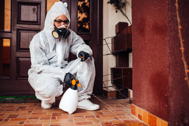 Reliable Mosquito Control contractor in West Pasco, WA by Show Me Pest Control